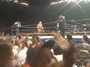WrestleWar 1991.00016.jpg (20 KB)