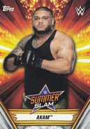 2019 WWE SummerSlam (Topps) Akam (No.1)