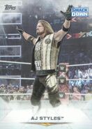 2020 Topps WWE Undisputed Wrestling Cards AJ Styles (No.25)