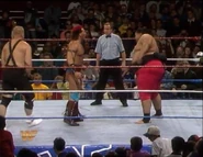 December 25, 1993 WWF Superstars 10.jpg (69 KB)
