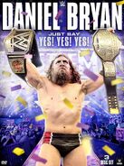 Just Say Yes! Yes! Yes Daniel Bryan