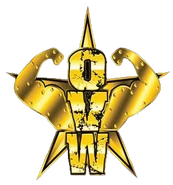 OVW LOGO.png (79 KB) Logo used from 2004 to 2020