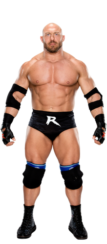 Ryback stat--8eb038853f0e6e7a9707c45d00bbbf18