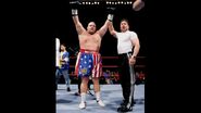 WrestleMania 15.6.jpg (21 KB)