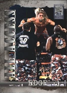 2002 WWF All Access (Fleer) Edge (No.34)
