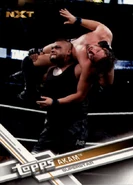 2017 WWE (Topps) Then, Now, Forever Akam (No.164)