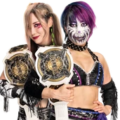 The Kabuki Warriors 25th Champions (January 26, 2024 - May 4, 2024)