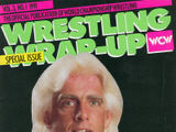 WCW Magazine - January 1991