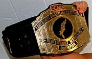 ECWA Mid-Atlantic Champion