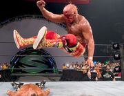 HULK HOGANLEG DROP