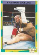 1995 WWF Wrestling Trading Cards (Merlin) no.177