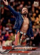 2018 WWE Wrestling Cards (Topps) The Brian Kendrick 17