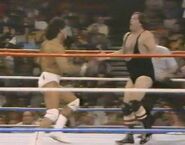 February 27, 1988 WWF Superstars of Wrestling.00002