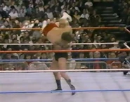 1.16.88 WWF Superstars.00005.jpg (79 KB)