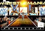 2024 WWE (Panini Photogenic) Bayley (No.3)