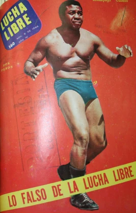 Lucha Libre 160