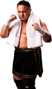 SamoaJoe