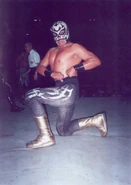 Black Tiger (Puebla) 2.jpg (25 KB) Black Tiger (Puebla): Luchador based in Puebla, Puebla, Mexico