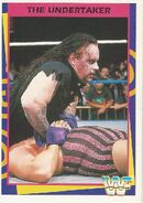 1995 WWF Wrestling Trading Cards (Merlin) Undertaker 169