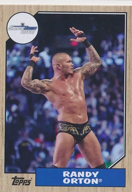2017 WWE Heritage Wrestling Cards (Topps) Randy Orton 63