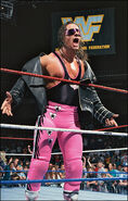 Bret Hart 4