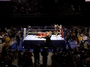 Clash of the Champions V 5.jpg (57 KB)