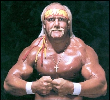 Hulk Hogan Pro Wrestling Fandom