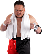 SamoaJoeTransparentedit