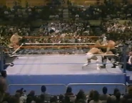 1.16.88 WWF Superstars.00001.jpg (80 KB)