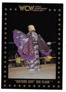 1991 WCW Collectible Trading Cards (Championship Marketing) Ric Flair 35