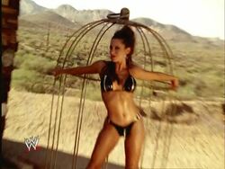 Divas: Desert Heat | Pro Wrestling | Fandom