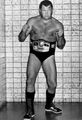 Harley Race 24th Champion (May 1, 1981 - June 21, 1981)