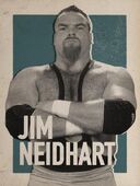 Jim Neidhart - WWE 2K17