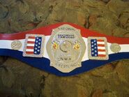 NWA National Championship (70's)