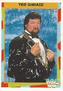 1995 WWF Wrestling Trading Cards (Merlin) Ted Dibiase 14