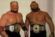 NWA Georgia National Tag Team Champions