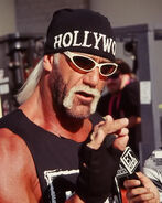 NWo hulk hogan