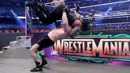 WrestleMania 34.114