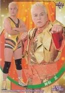 2017 BBM True Heart Japanese Women's Pro Wrestling Shinobu Kandori (No.31)