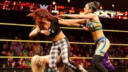 NXT 260 Photo 09