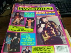 New Wave Wrestling - November 1995