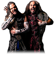 The Broken Hardys ROH Tag Team Championship