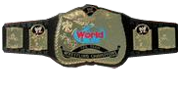 WWE World Tag Team Titles (2002)