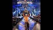 WrestleMania 25.36