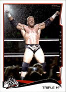 2014 WWE (Topps) Triple H 51
