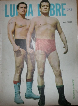 Lucha Libre 293