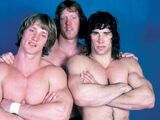 Von Erich family