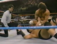 1.16.88 WWF Superstars.00002.jpg (71 KB)