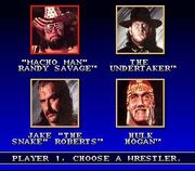 290743-wwf-super-wrestlemania-snes-screenshot-pick-your-wrestler