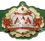 AAA cruiserweight